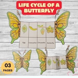 life cycle of a butterfly