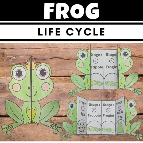 Life Cycle of a Frog : Fun Cut and Paste Foldable Sequencing craft