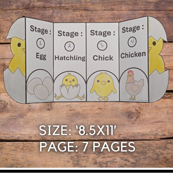 Life Cycle of a Chicken : Cut and Paste Foldable Sequencing craft