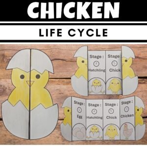 Life Cycle of a Chicken : Cut and Paste Foldable Sequencing craft