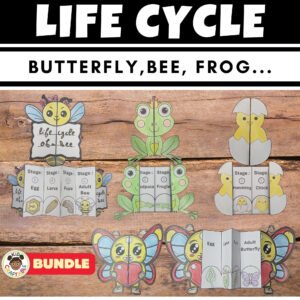 Life cycles of animals : Cut and Paste Foldable Sequencing craft BUNDLE