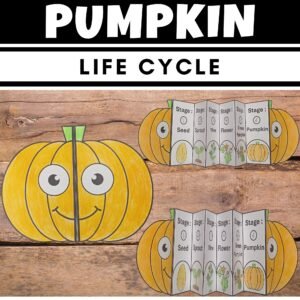 Pumpkin Life Cycle Craft | Kindergarten STEM Activity Worksheets | Fall, Science