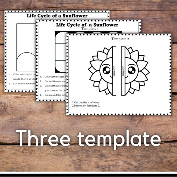 Life Cycle of a sunflower Craft : Fun Cut and Paste Foldable Sequencing